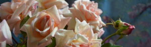 Heritage Roses banner 1