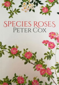 Peter Cox book
