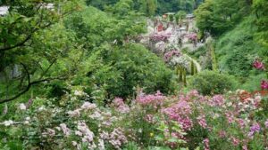 Post-conference tour: Akeo Herb and Rose garden