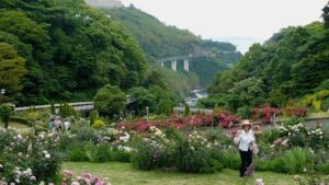 Post-conference tour: Akeo Herb and Rose garden, looking down on the inlet