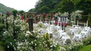 Post-conference tour: Akeo Herb and Rose garden, wedding garden