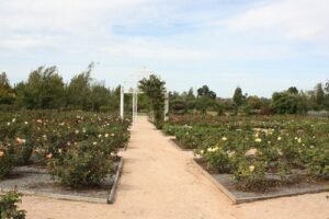 Australian Inland Botanic Gardens, Mildura