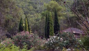 Araluen Botanic Park