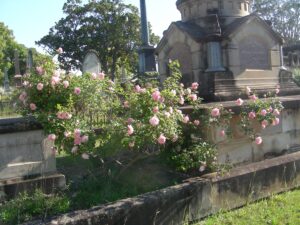 'Duke of York' at Rookwood Cemetery