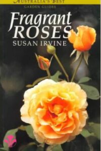 Fragrant Roses Susan Irvine