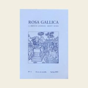 Rosa Gallica