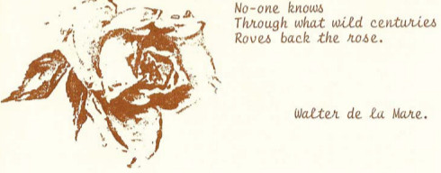 Yesterday’s Roses Quote Yesterday's Roses Quote