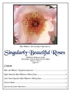 Singularly Beautiful Roses – Volume 12 Issue 2 Aug 2021
