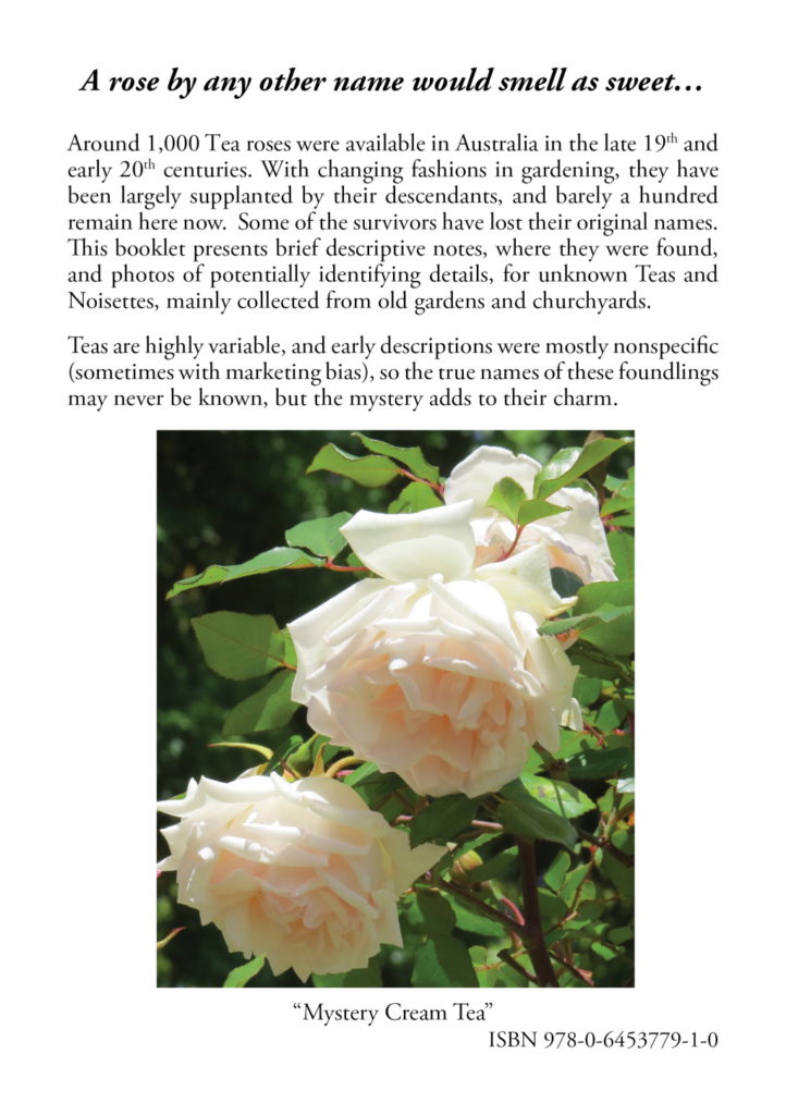 Mystery Roses back cover