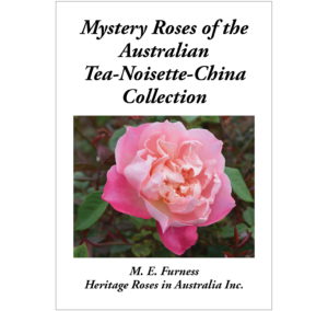 Mystery Roses front cover