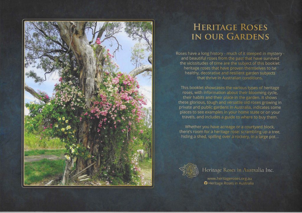Heritage Roses in Our Gardens back cover