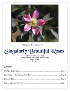 Singularly Beautiful Roses – Volume 11 Issue 1 Spring 2020