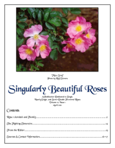 Singularly Beautiful Roses – Volume 12 Issue 1 Apr 2021