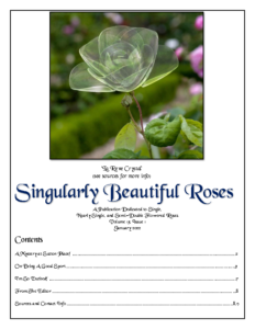 Singularly Beautiful Roses – Volume 13 Issue 1 Jan 2022