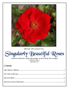 Singularly Beautiful Roses – Volume 13 Issue 3 Sep 2022