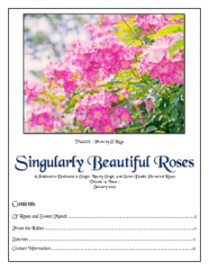 Singularly Beautiful Roses – Volume 14 Issue 1 Jan. 2023