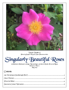 Singularly Beautiful Roses – Volume 14 Issue 2 May 2023