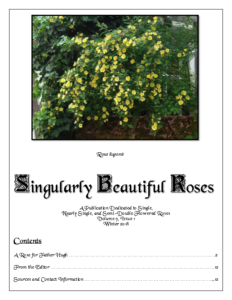 Singularly Beautiful Roses – Volume 9 Issue 1 Winter 2018