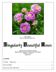 Singularly Beautiful Roses – Volume 9 Issue 2 Spring 2018