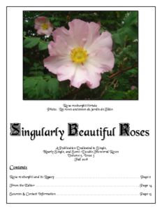 Singularly Beautiful Roses – Volume 9 Issue 3 Fall 2018