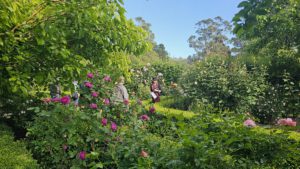 Sages Cottage Farm, Baxter, Vic.