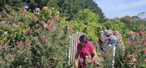 Martha Park Gardens, Moorooduc, Vic