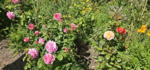 Martha Park Gardens, Moorooduc, Vic