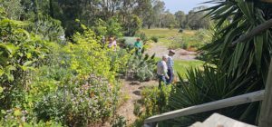 Martha Park Gardens, Moorooduc, Vic