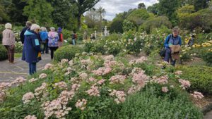 Geelong Botanical Garden, Geelong, Vic.
