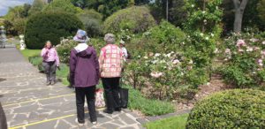 Geelong Botanical Garden, Geelong, Vic.