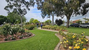 Morwell Centenary Rose Garden, Morwell, Vic.