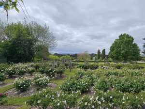 Coombe Yarra Valley, Coldstream, Vic.