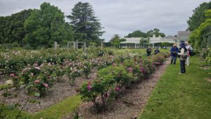 Coombe Yarra Valley, Coldstream, Vic.