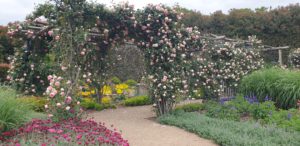Alowyn Gardens, Yarra Glen, Vic.
