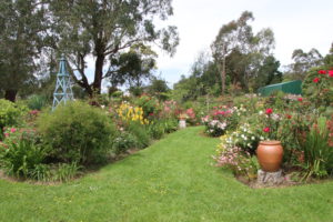 John Nieuwesteeg's Garden, Yellingbo, Vic.