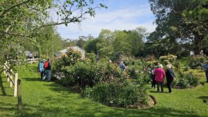 John Nieuwesteeg's Garden, Yellingbo, Vic.